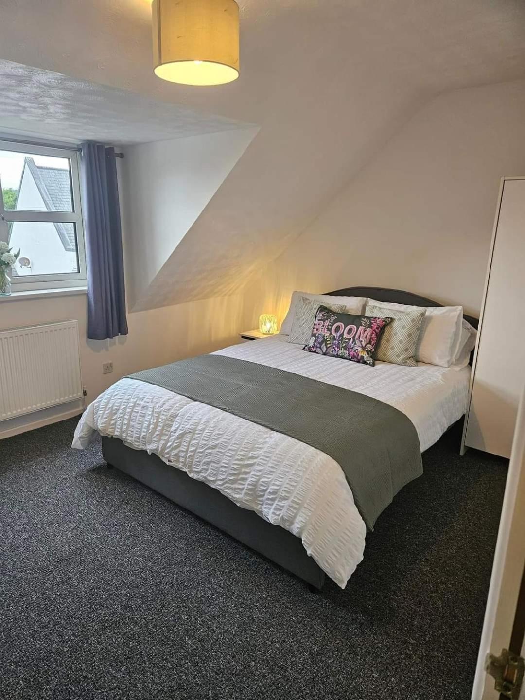 Cosy At The Castle Apartment แคร์ริกเฟอร์กัส ภายนอก รูปภาพ
